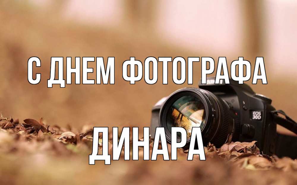 Открытка на каждый день с именем, Динара С днем фотографа с днем фотографа Прикольная открытка с пожеланием онлайн скачать бесплатно 
