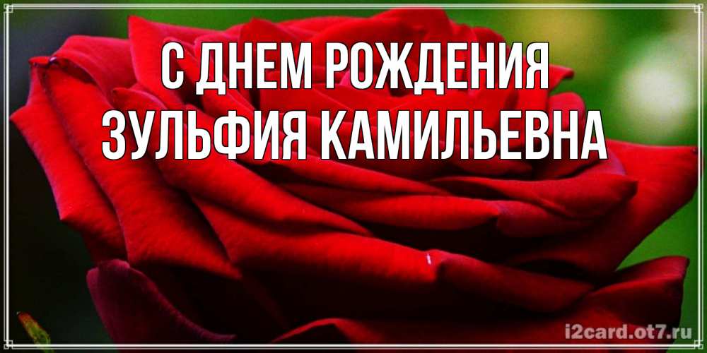 Открытка на каждый день с именем, Зульфия-Камильевна С днем рождения розочка очень красивая Прикольная открытка с пожеланием онлайн скачать бесплатно 