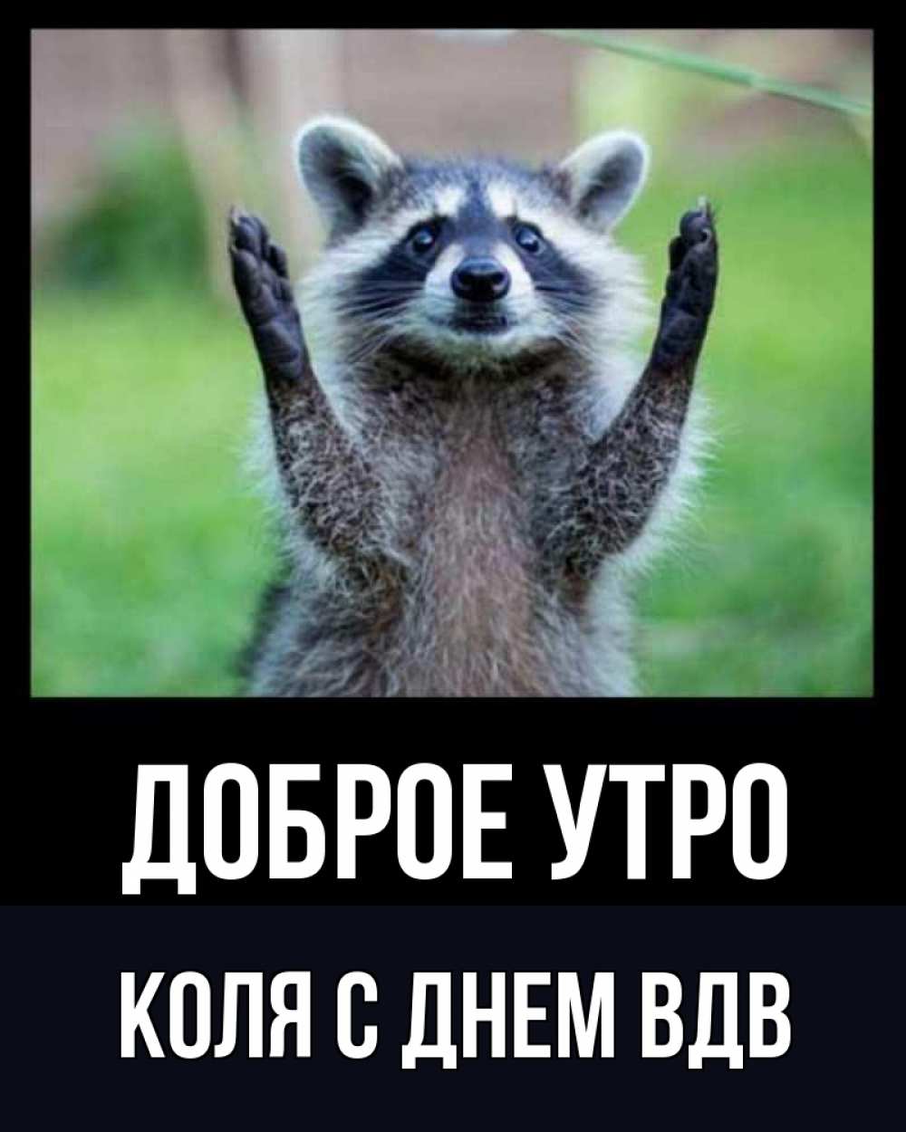Открытка на каждый день с именем, Коля-с-Днем-ВДВ Доброе утро хорошее настроение утречком Прикольная открытка с пожеланием онлайн скачать бесплатно 