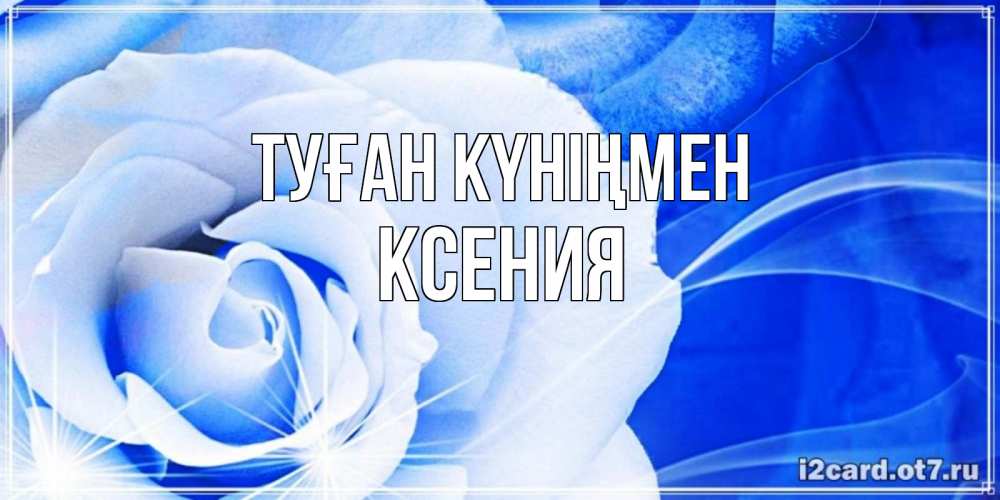 Открытка на каждый день с именем, Ксения Туған күніңмен белая роза на голубом фоне Прикольная открытка с пожеланием онлайн скачать бесплатно 