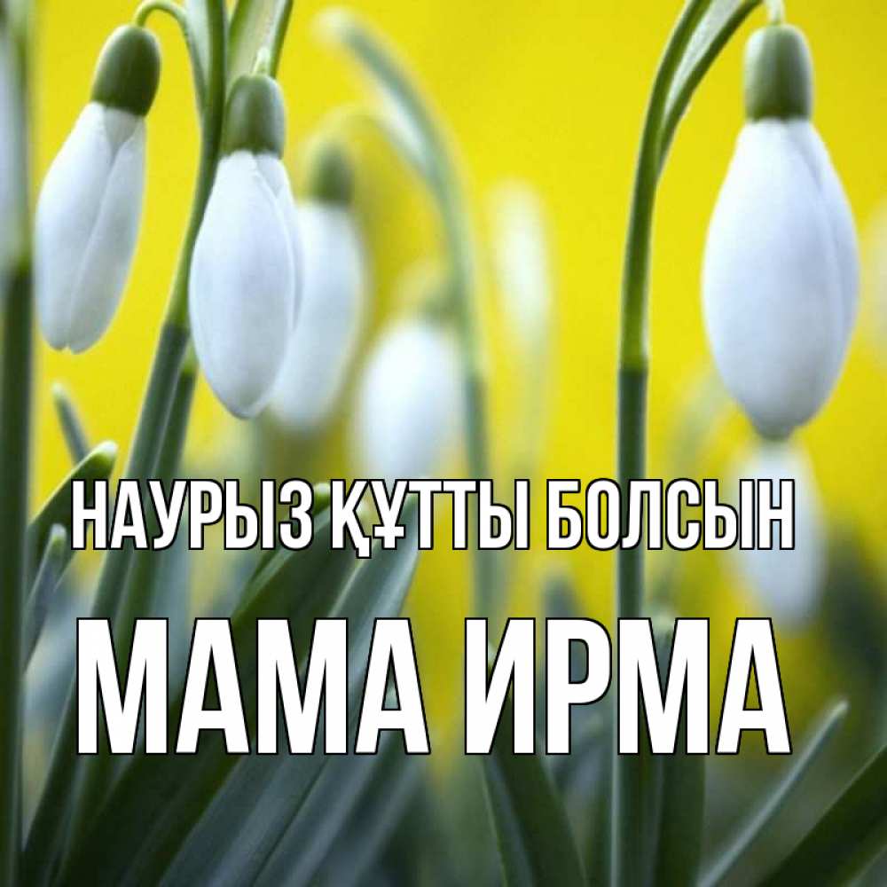 Открытка на каждый день с именем, Мама-Ирма Наурыз құтты болсын весенние цветы Прикольная открытка с пожеланием онлайн скачать бесплатно 