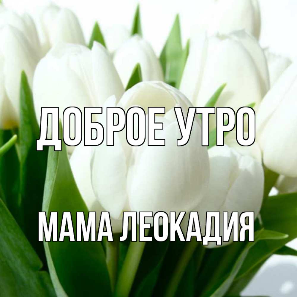 Открытка на каждый день с именем, Мама-Леокадия Доброе утро открытки на каждый день по именам Прикольная открытка с пожеланием онлайн скачать бесплатно 