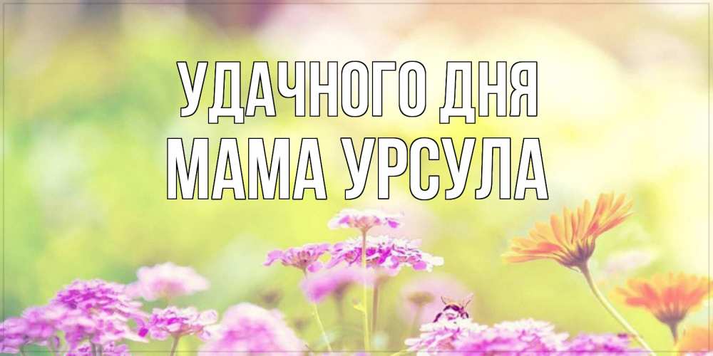 Открытка на каждый день с именем, Мама-Урсула Удачного дня красивая открытка с летней темой Прикольная открытка с пожеланием онлайн скачать бесплатно 