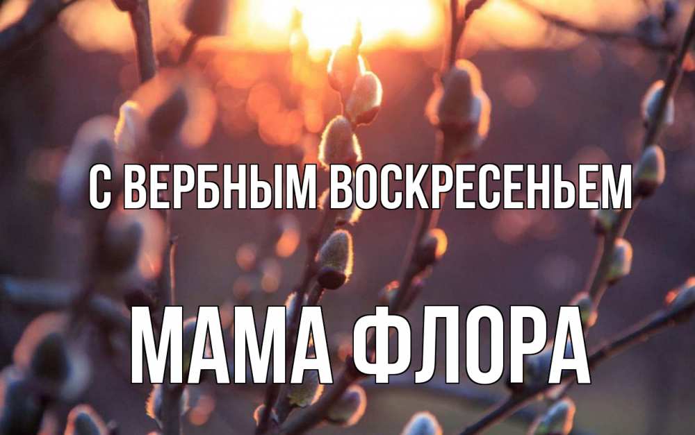 Открытка на каждый день с именем, Мама-Флора С вербным воскресеньем верба Прикольная открытка с пожеланием онлайн скачать бесплатно 