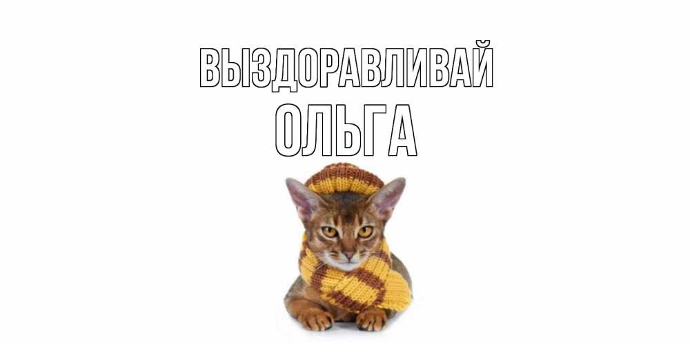 Открытка на каждый день с именем, Ольга Выздоравливай родные не болейте Прикольная открытка с пожеланием онлайн скачать бесплатно 