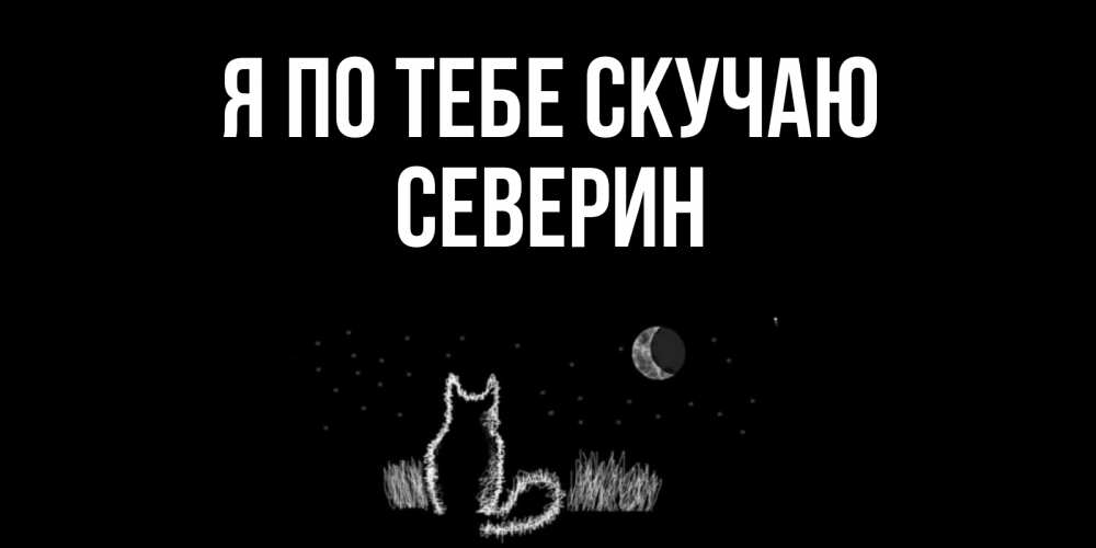 Открытка на каждый день с именем, Северин Я по тебе скучаю кот Прикольная открытка с пожеланием онлайн скачать бесплатно 