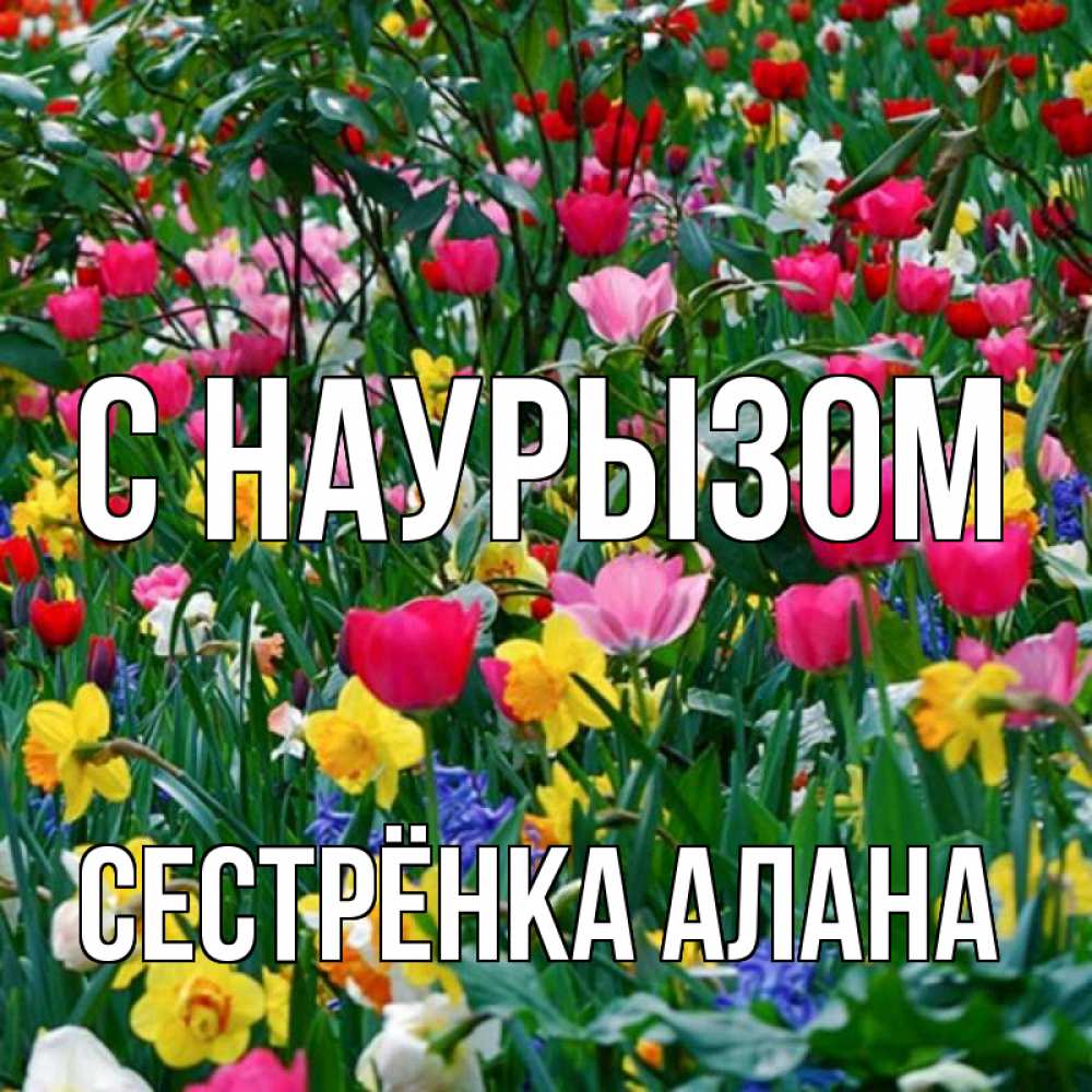 Открытка на каждый день с именем, Сестрёнка-Алана С наурызом с наурызом праздником весны поздравления для женщины Прикольная открытка с пожеланием онлайн скачать бесплатно 