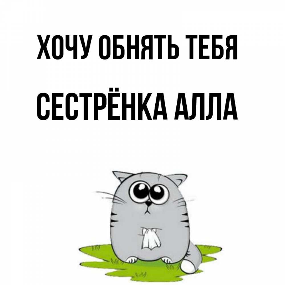 Открытка на каждый день с именем, Сестрёнка-Алла Хочу обнять тебя котик теребит платочек сидя на травке Прикольная открытка с пожеланием онлайн скачать бесплатно 