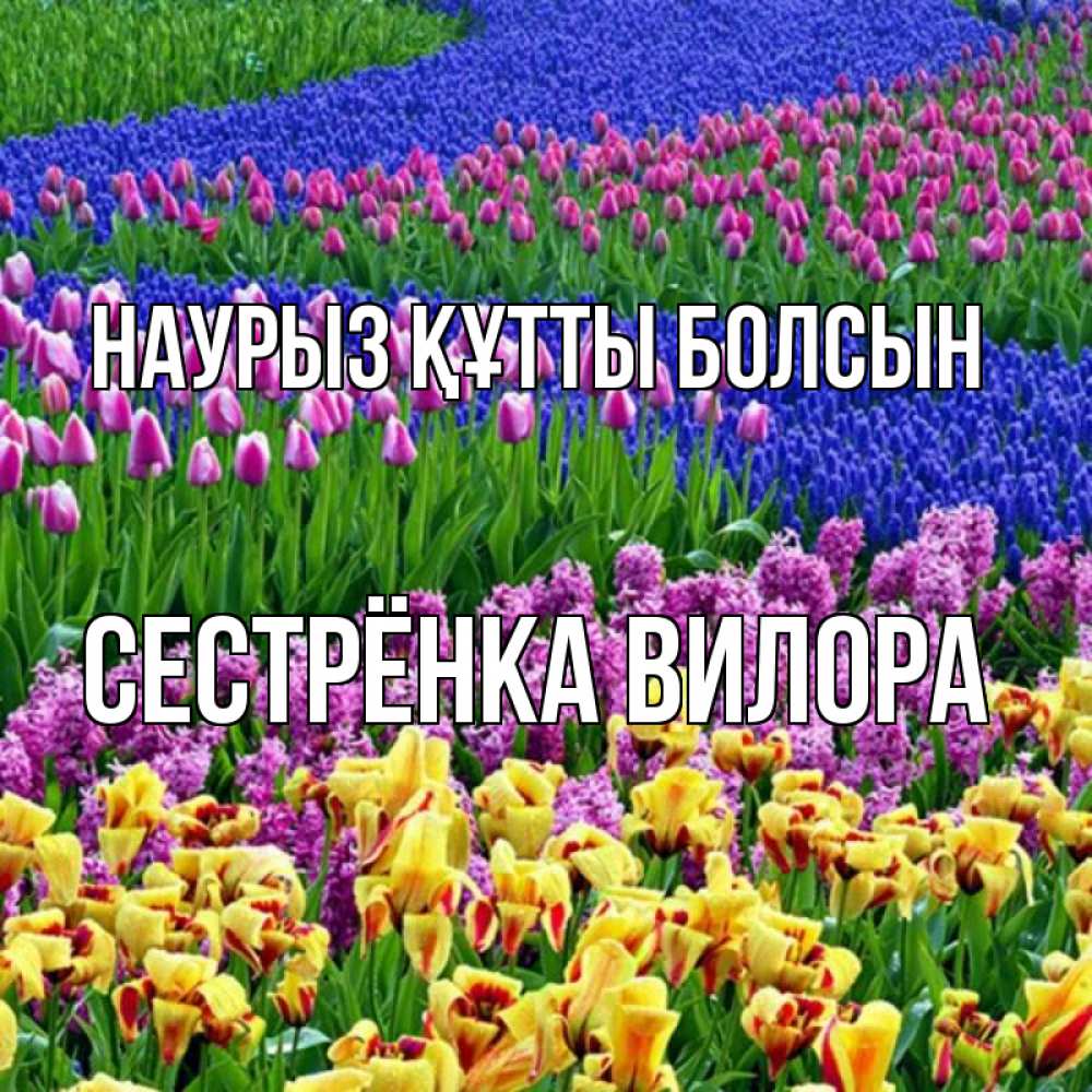 Открытка на каждый день с именем, Сестрёнка-Вилора Наурыз құтты болсын цветы Прикольная открытка с пожеланием онлайн скачать бесплатно 