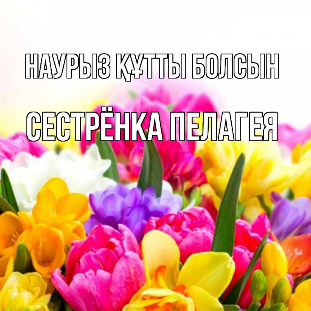 Открытка на каждый день с именем, Сестрёнка-Пелагея Наурыз құтты болсын тюльпаны Прикольная открытка с пожеланием онлайн скачать бесплатно 