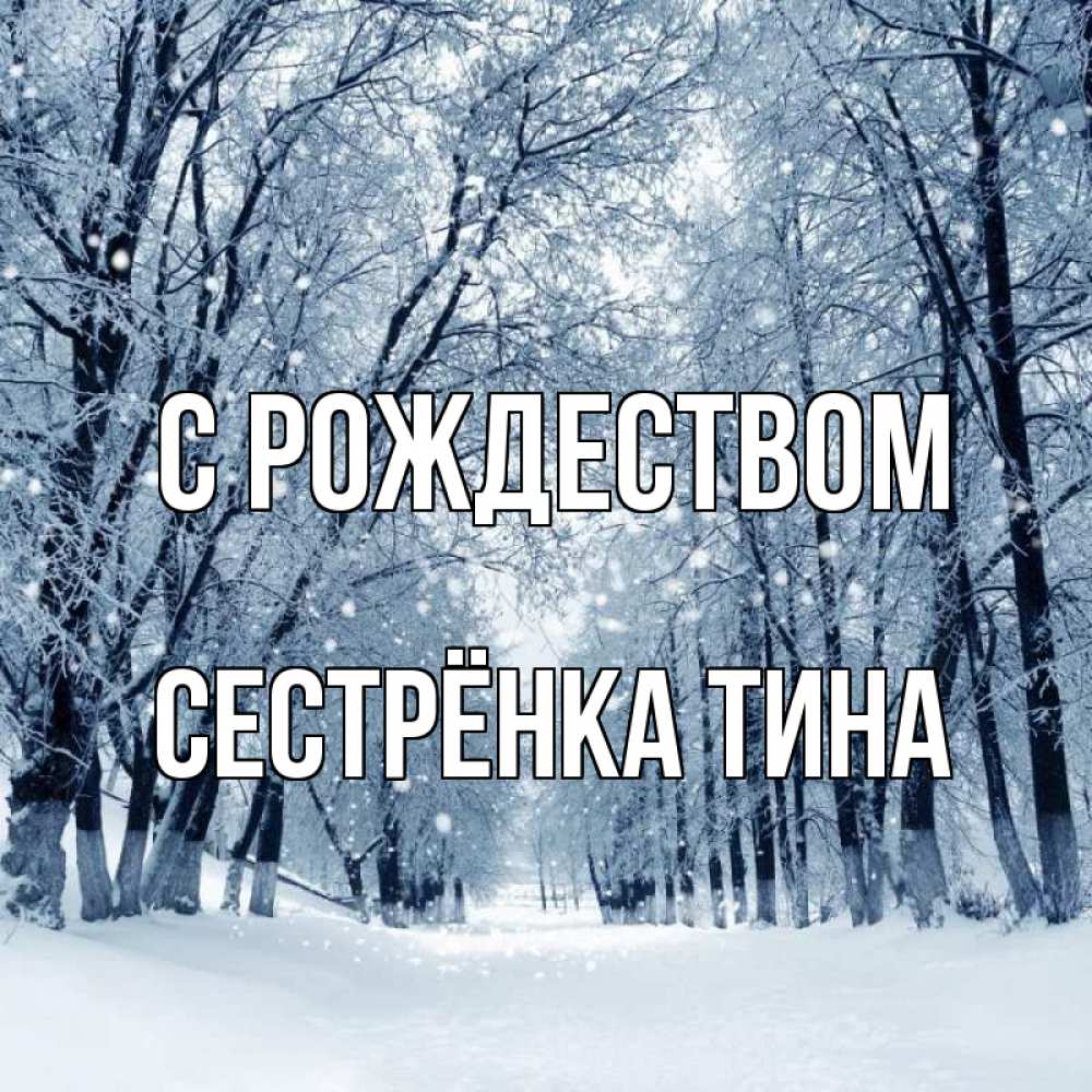 Открытка на каждый день с именем, Сестрёнка-Тина С рождеством снег, лес, парк Прикольная открытка с пожеланием онлайн скачать бесплатно 