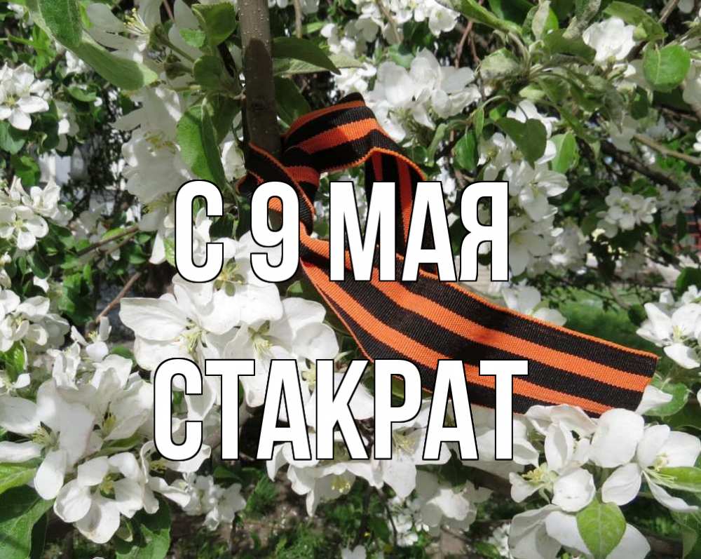 Открытка на каждый день с именем, Стакрат С 9 мая 9 мая Прикольная открытка с пожеланием онлайн скачать бесплатно 
