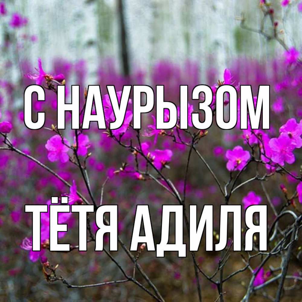 Открытка на каждый день с именем, Тётя-Адиля С наурызом дикие цветы Прикольная открытка с пожеланием онлайн скачать бесплатно 