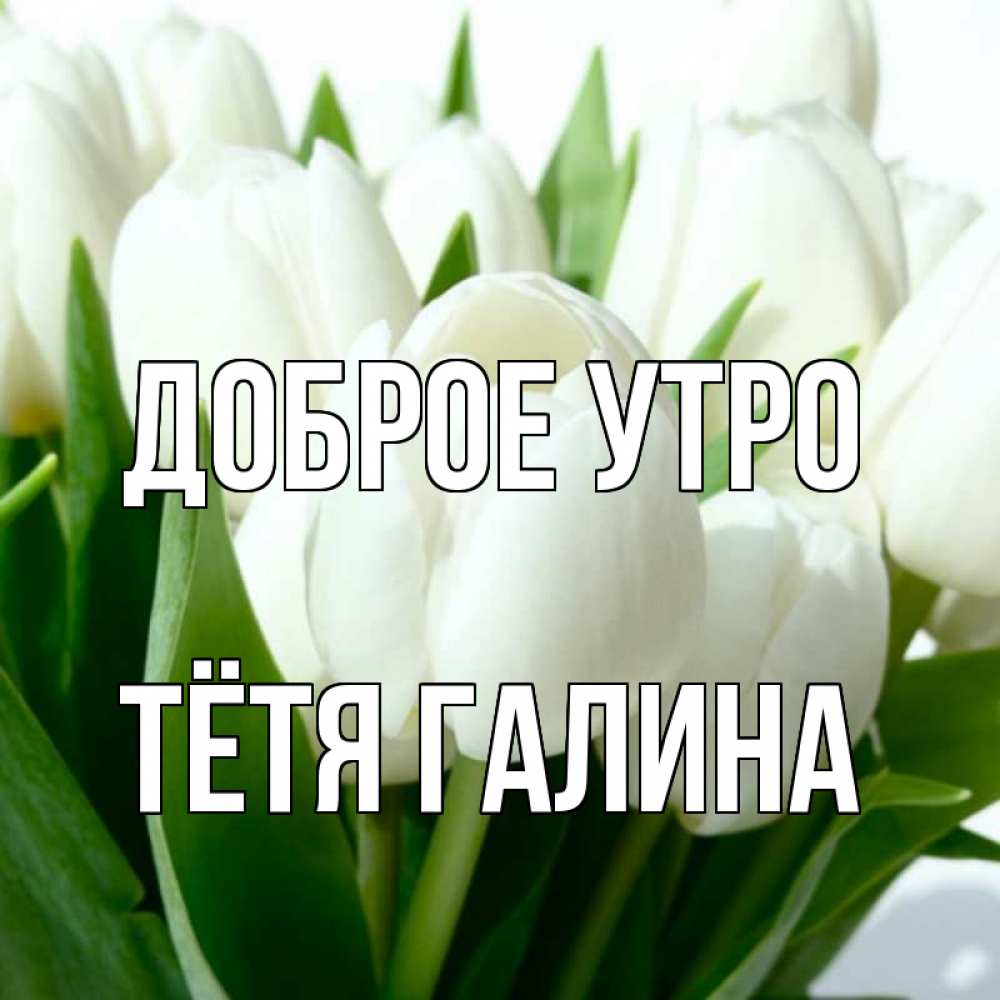 Открытка на каждый день с именем, Тётя-Галина Доброе утро открытки на каждый день по именам Прикольная открытка с пожеланием онлайн скачать бесплатно 