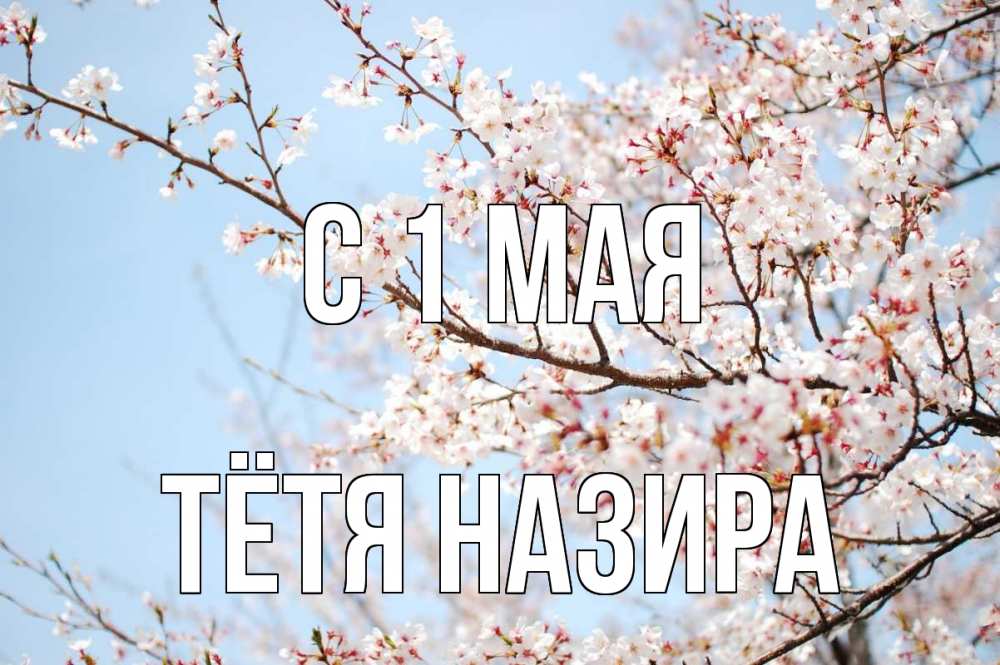 Открытка на каждый день с именем, Тётя-Назира С 1 мая С 1 мая Прикольная открытка с пожеланием онлайн скачать бесплатно 