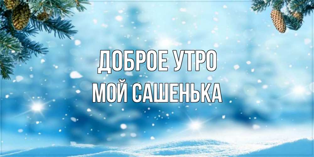 Открытка на каждый день с именем, мой-Сашенька Доброе утро зимнее доброе утро Прикольная открытка с пожеланием онлайн скачать бесплатно 