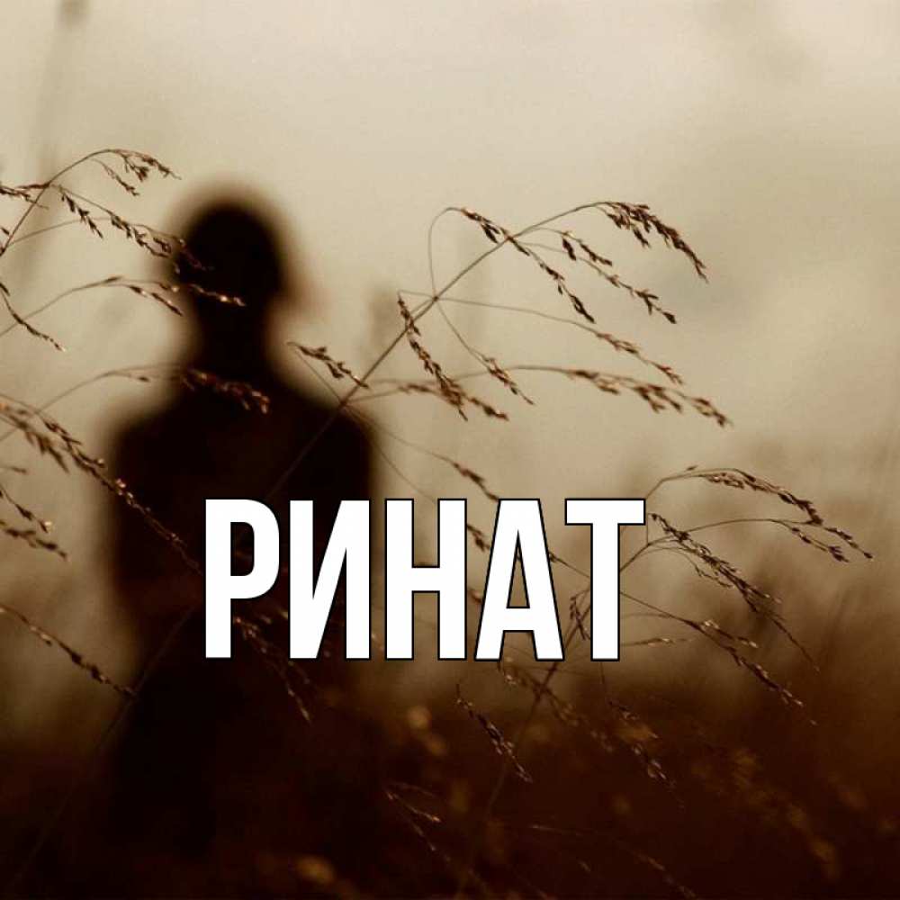 Открытки с именем ринат
