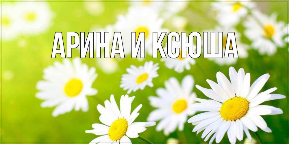 Открытка на каждый день с именем, Арина-и-Ксюша Главная открытка с ромашками на зеленом фоне Прикольная открытка с пожеланием онлайн скачать бесплатно 