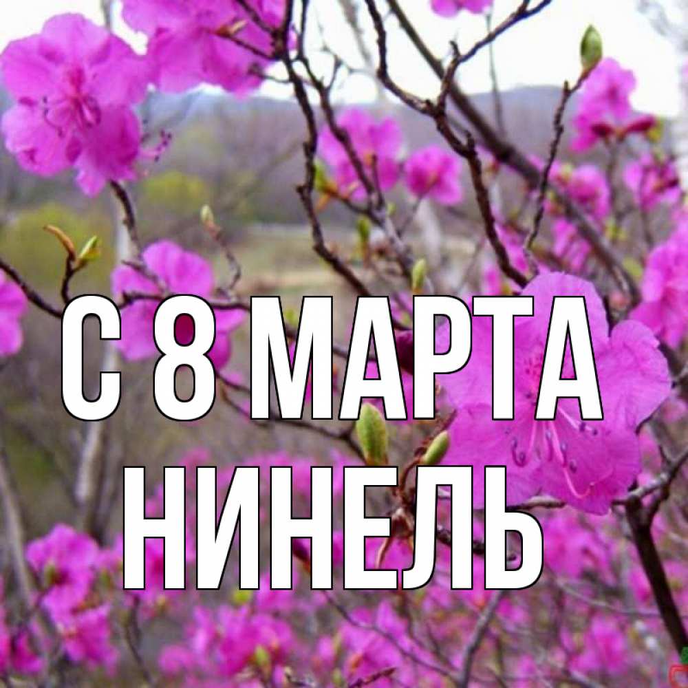Открытка на каждый день с именем, Нинель С 8 марта международный женский день Прикольная открытка с пожеланием онлайн скачать бесплатно 