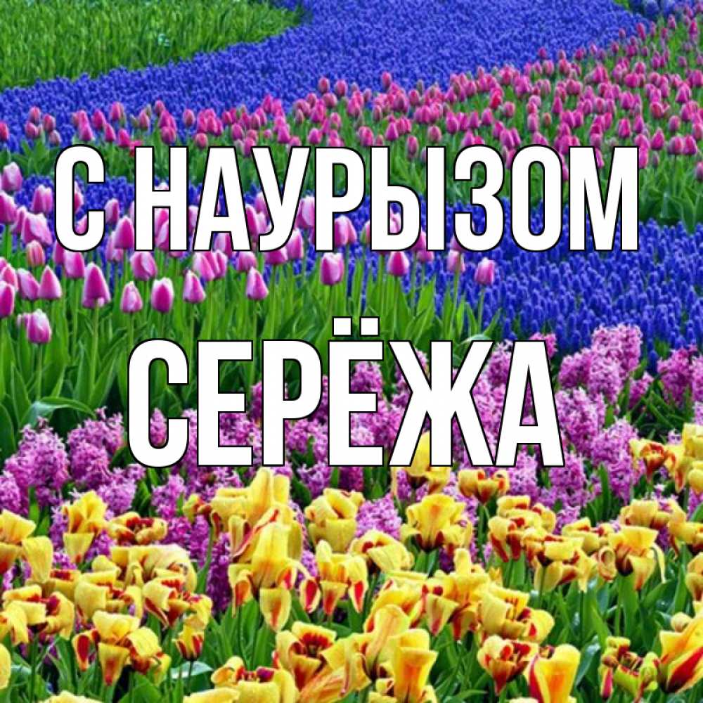 Картинка С наурызом, Серёжа