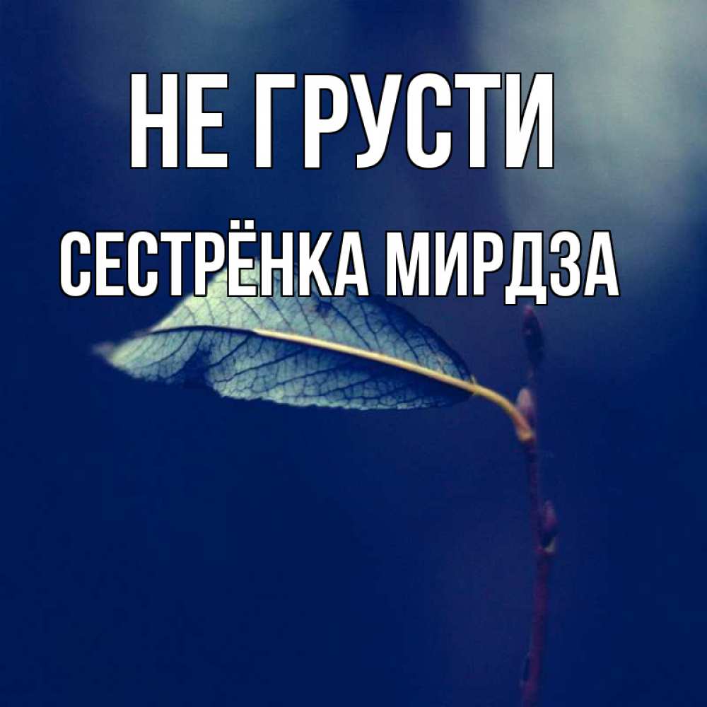 Открытка на каждый день с именем, Сестрёнка-Мирдза Не грусти растение Прикольная открытка с пожеланием онлайн скачать бесплатно 