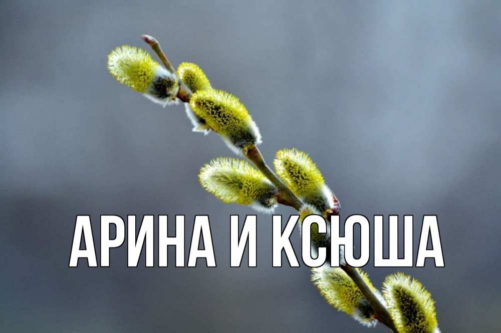 Открытка на каждый день с именем, Арина-и-Ксюша Главная верба Прикольная открытка с пожеланием онлайн скачать бесплатно 