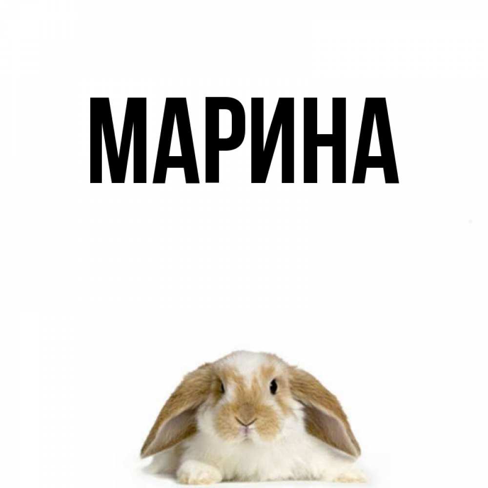 Открытка на каждый день с именем, Марина Главная открытки с произвольным текстом который можно вставить в открытку и создать ее самостоятельно бесплатно онлайн Прикольная открытка с пожеланием онлайн скачать бесплатно 