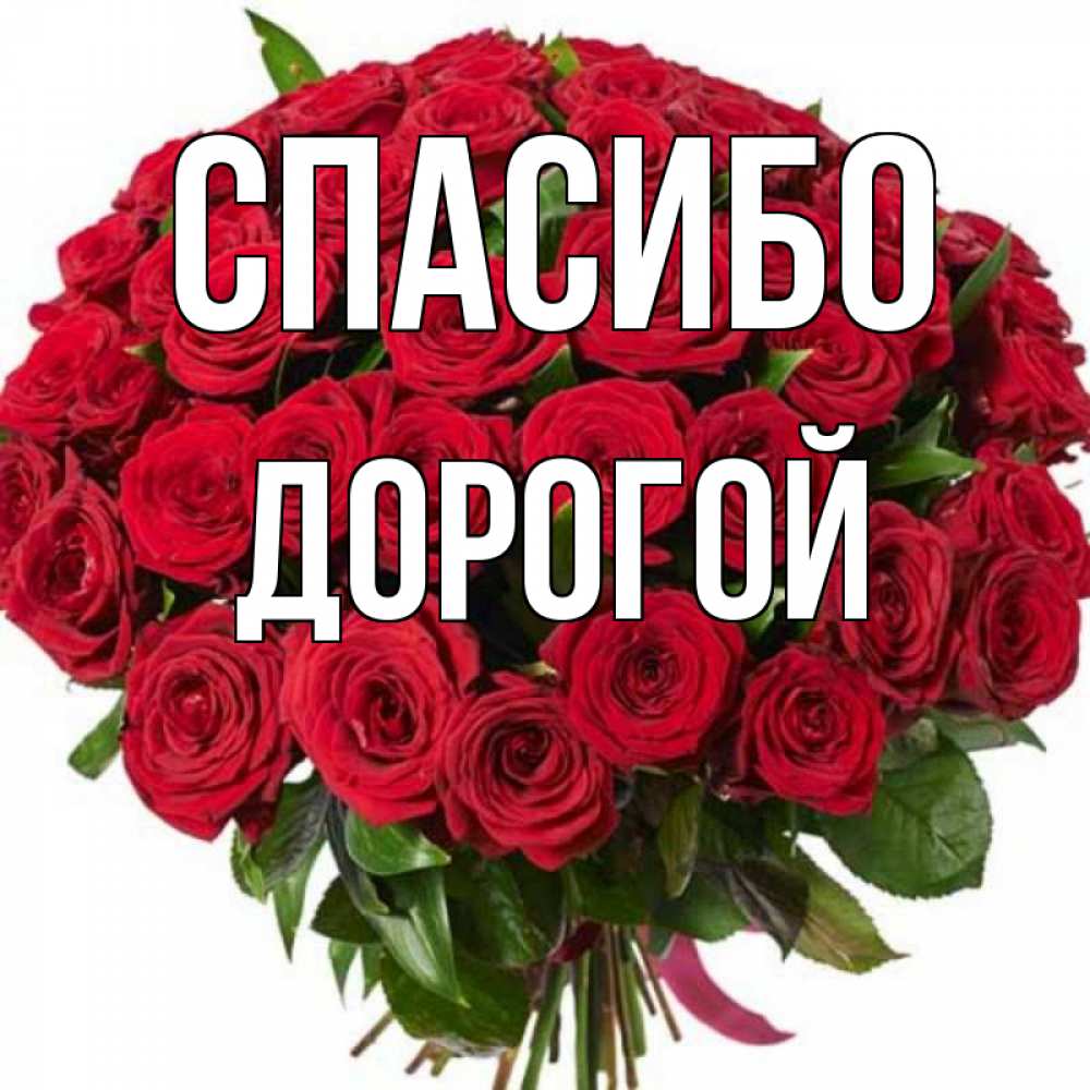 Picture background