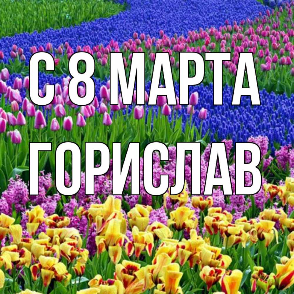 Открытка на каждый день с именем, Горислав С 8 МАРТА цветы Прикольная открытка с пожеланием онлайн скачать бесплатно 