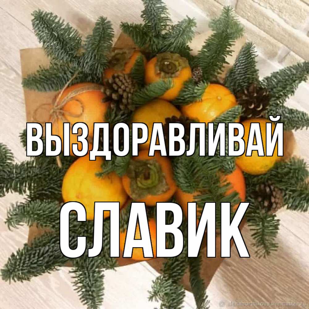 Открытка на каждый день с именем, Славик Выздоравливай апельсины и хурьма Прикольная открытка с пожеланием онлайн скачать бесплатно 