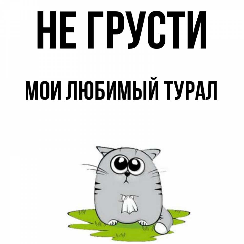 Мой сереженька. Любимый котя. Не грусти любимый. Не грусти мой любимый картинки. Не грусти мой любимый.
