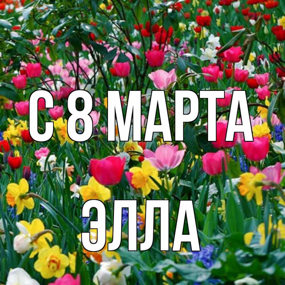 Открытка на каждый день с именем, Элла С 8 МАРТА с международным женским днем поздравления для женщины Прикольная открытка с пожеланием онлайн скачать бесплатно 