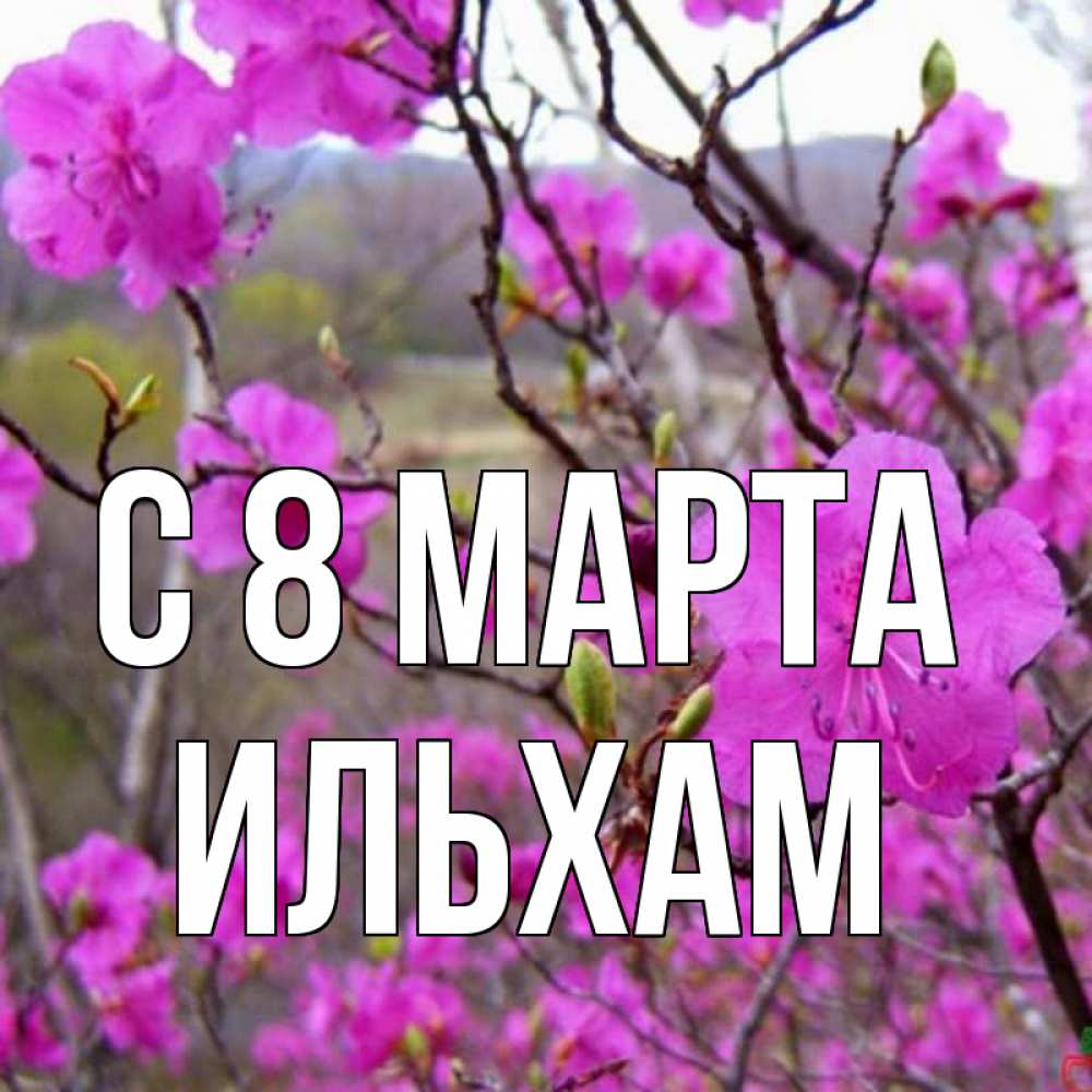 Открытка на каждый день с именем, Ильхам С 8 МАРТА международный женский день Прикольная открытка с пожеланием онлайн скачать бесплатно 