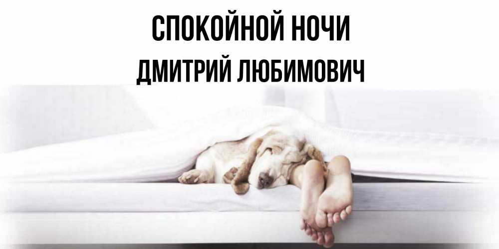 Картинка Спокойной ночи, Дмитрий Любимович