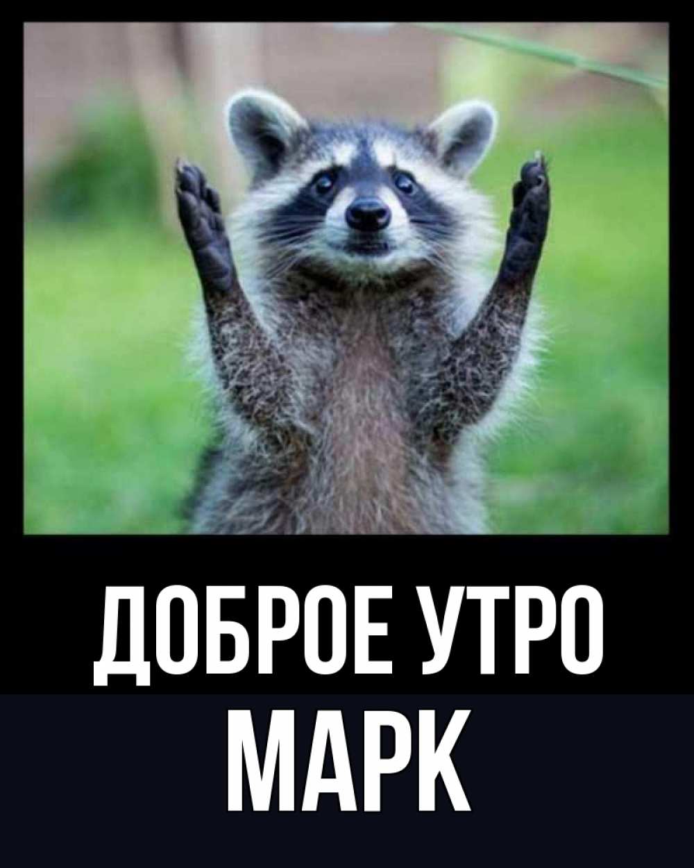 Открытка на каждый день с именем, Марк Доброе утро хорошее настроение утречком Прикольная открытка с пожеланием онлайн скачать бесплатно 