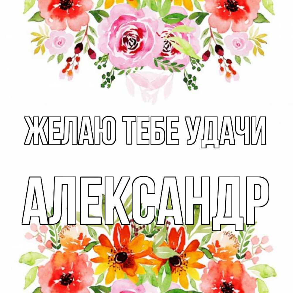 Открытка на каждый день с именем, Александр Желаю тебе удачи открытка с цветами акварелью Прикольная открытка с пожеланием онлайн скачать бесплатно 