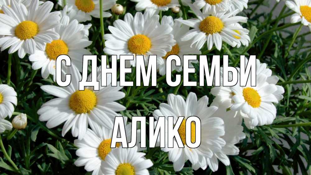 Открытка на каждый день с именем, Алико С днем семьи с днем семьи Прикольная открытка с пожеланием онлайн скачать бесплатно 