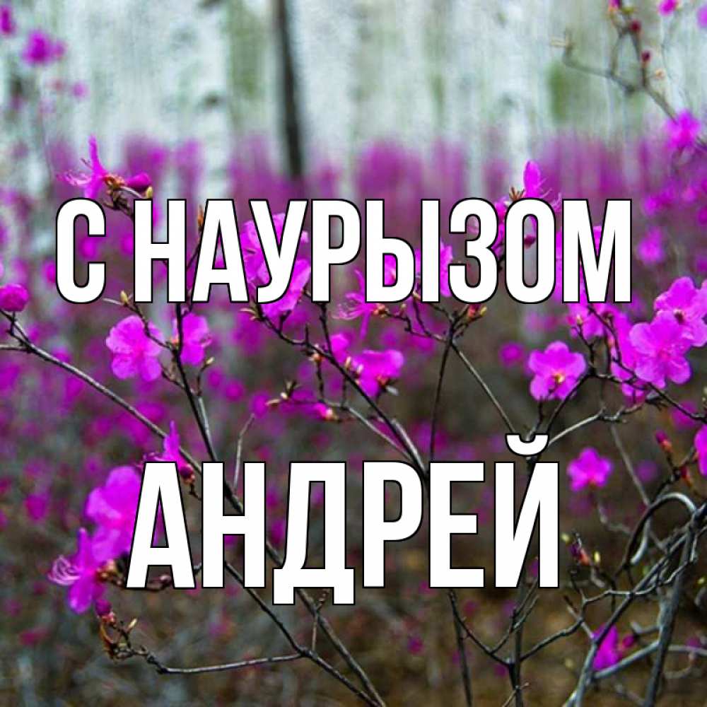 Открытка на каждый день с именем, Андрей С наурызом дикие цветы Прикольная открытка с пожеланием онлайн скачать бесплатно 