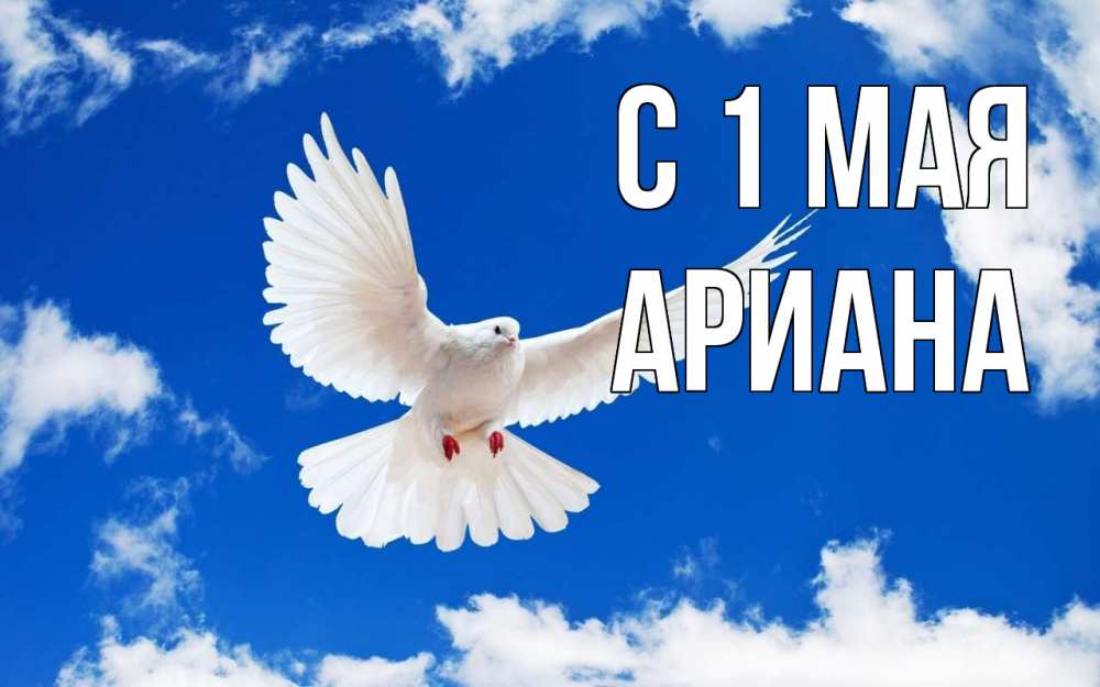 Открытка на каждый день с именем, Ариана С 1 мая С 1 мая 1 Прикольная открытка с пожеланием онлайн скачать бесплатно 