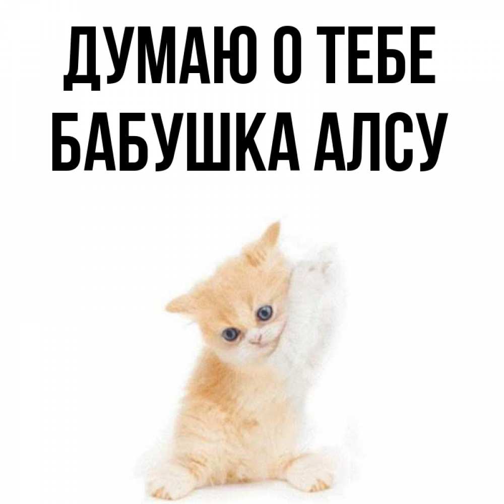 Открытка на каждый день с именем, Бабушка-Алсу Думаю о тебе зверушки и милота Прикольная открытка с пожеланием онлайн скачать бесплатно 