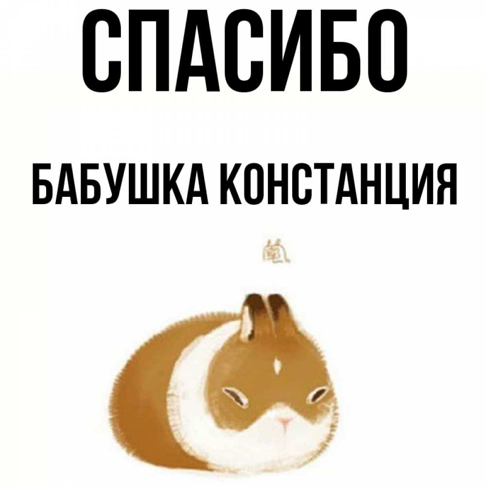Открытка на каждый день с именем, Бабушка-Констанция Спасибо коричнево белый домашний питомец Прикольная открытка с пожеланием онлайн скачать бесплатно 
