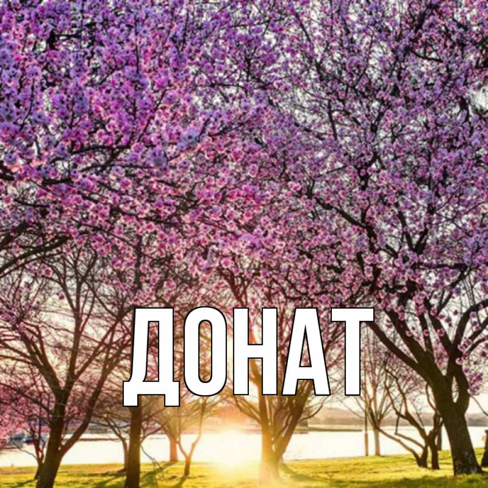 Открытка на каждый день с именем, Донат Главная международный женский день Прикольная открытка с пожеланием онлайн скачать бесплатно 