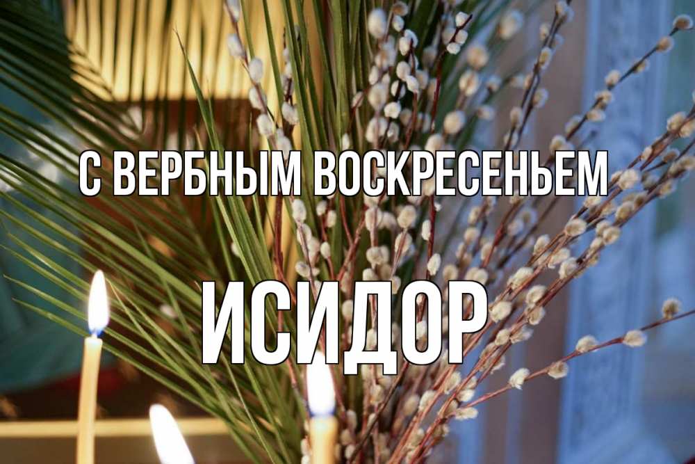 Открытка на каждый день с именем, Исидор С вербным воскресеньем верба Прикольная открытка с пожеланием онлайн скачать бесплатно 