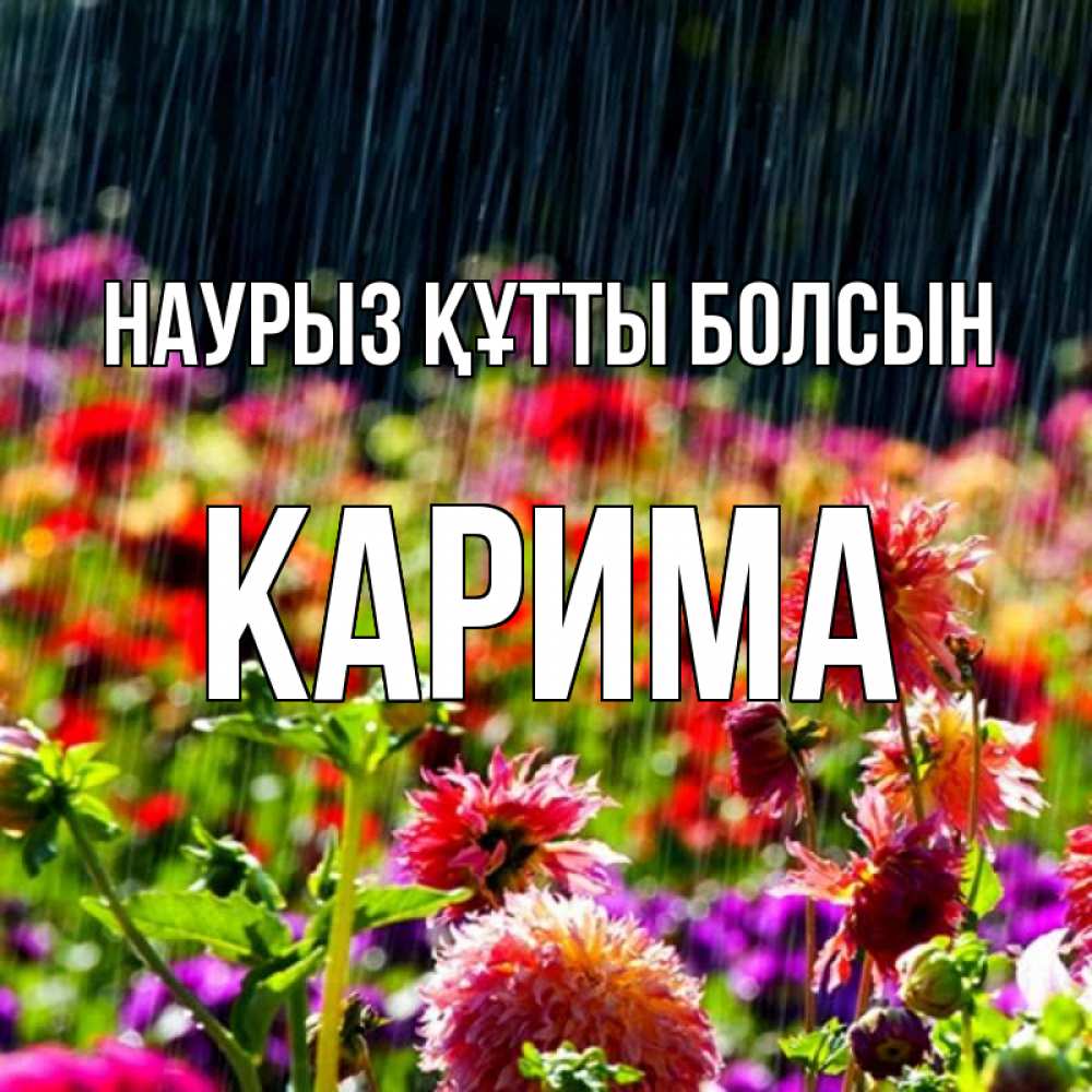 Открытка на каждый день с именем, Карима Наурыз құтты болсын цветы под дождиком к наурызу Прикольная открытка с пожеланием онлайн скачать бесплатно 