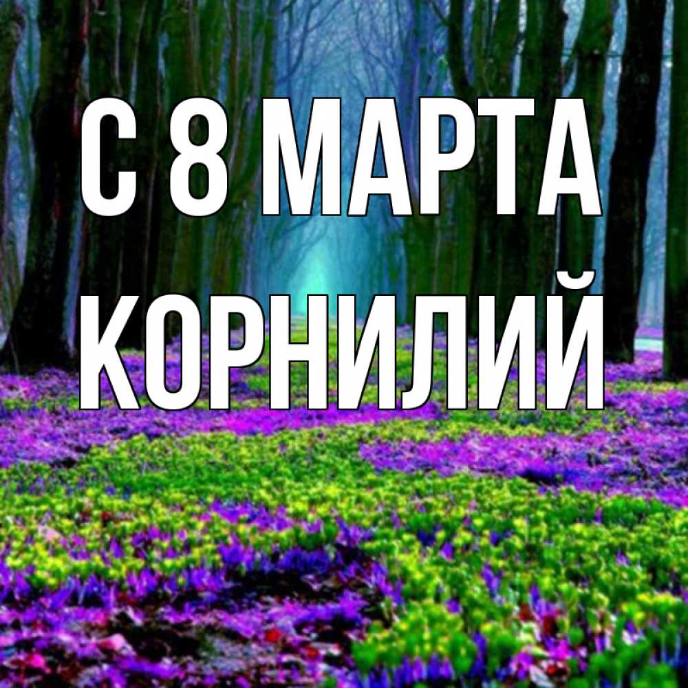Открытка на каждый день с именем, Корнилий С 8 МАРТА фиолетовые цветы в лесу 1 Прикольная открытка с пожеланием онлайн скачать бесплатно 