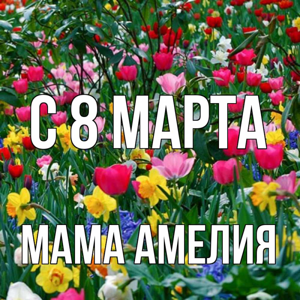 Открытка на каждый день с именем, Мама-Амелия С 8 МАРТА с международным женским днем поздравления для женщины Прикольная открытка с пожеланием онлайн скачать бесплатно 