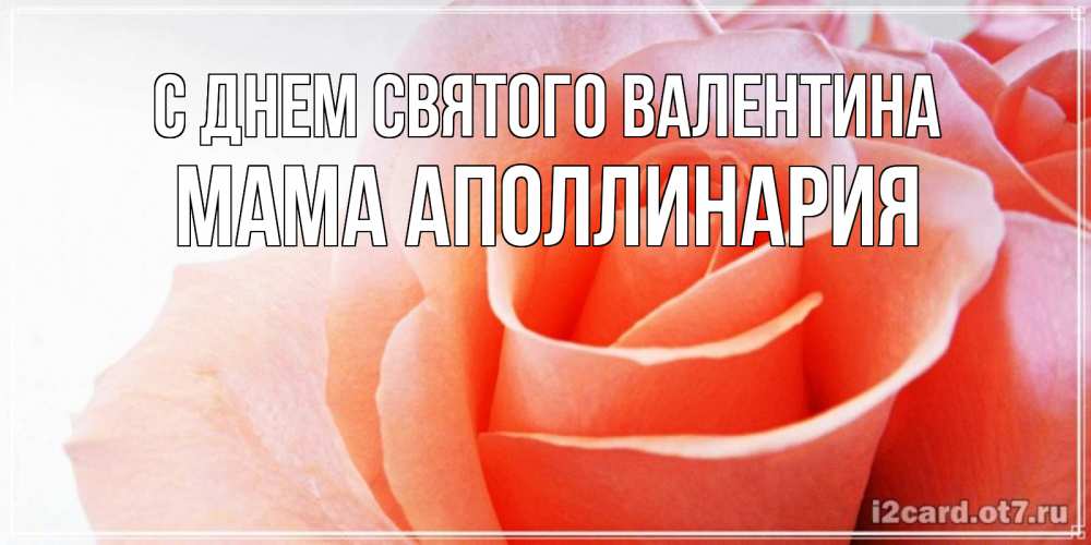 Открытка на каждый день с именем, Мама-Аполлинария С днем Святого Валентина открытка на день Святого Валентина с розовой розой Прикольная открытка с пожеланием онлайн скачать бесплатно 