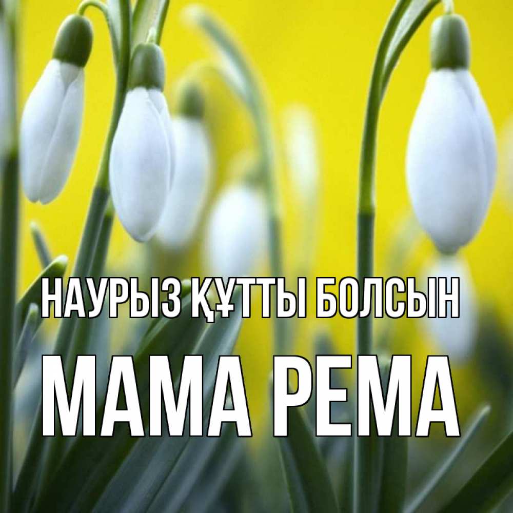 Открытка на каждый день с именем, Мама-Рема Наурыз құтты болсын весенние цветы Прикольная открытка с пожеланием онлайн скачать бесплатно 
