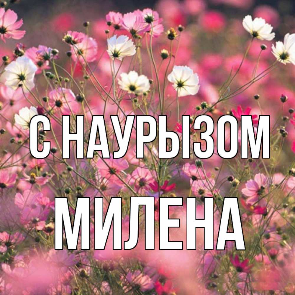 Открытка на каждый день с именем, Милена С наурызом красиво 1 Прикольная открытка с пожеланием онлайн скачать бесплатно 