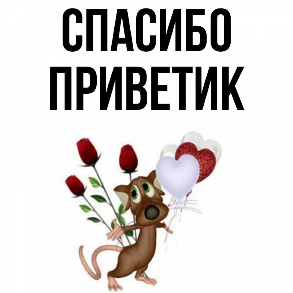 Спасибо За Приветик